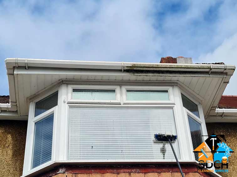 SDCH Window Cleaning Services